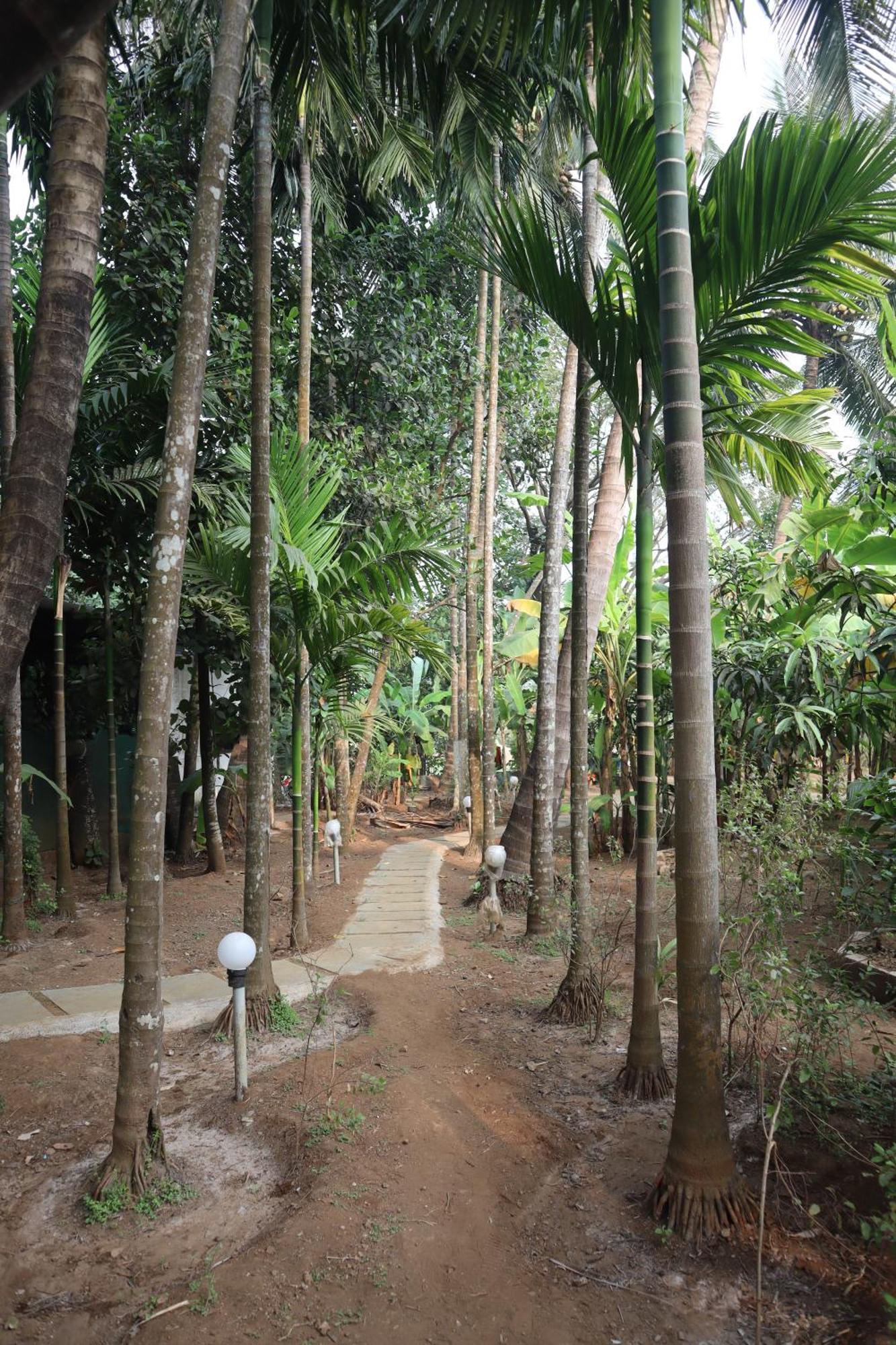 Revadanda Gokul Cottage & Villa מראה חיצוני תמונה